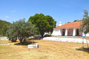 11-site